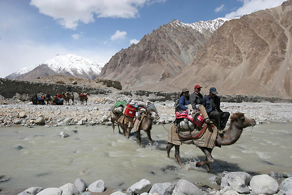 CamelCrossing